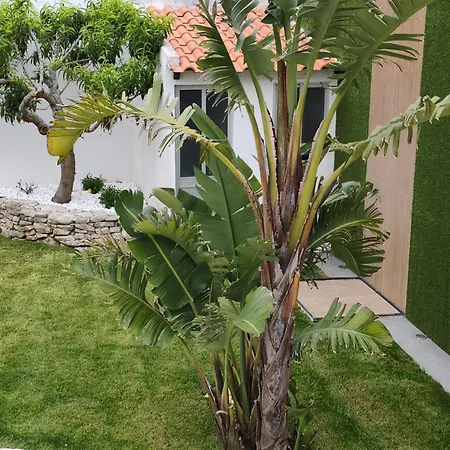 North Wind House Guest house 3*